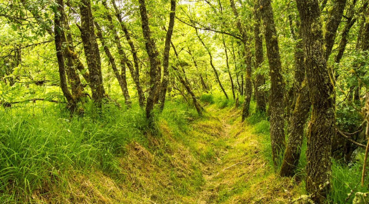 Boticas Parque Natur Houses المظهر الخارجي الصورة