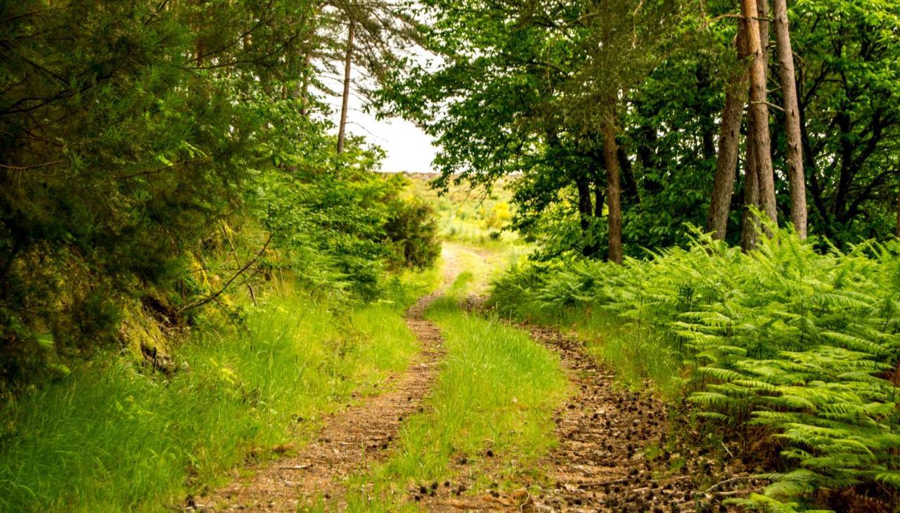 Boticas Parque Natur Houses المظهر الخارجي الصورة